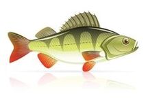 kaimoana mo te pancreatis